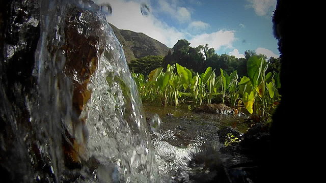 Issues surrounding water are shown in this clip of water flowing into a green field.