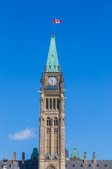 Obraz premium Peace tower and tulips at Parliament Building Ottawa Canada