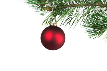 Obraz na płótnie Canvas Christmas ball and green spruce branch, on white background