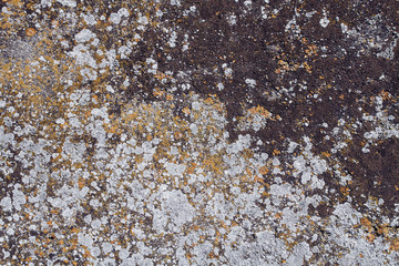 texture