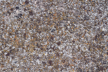 texture
