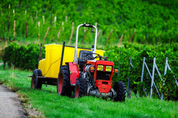 Tractor in vineyards while vendange in Alsace