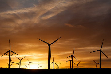 Obraz premium Silhouette of wind turbines