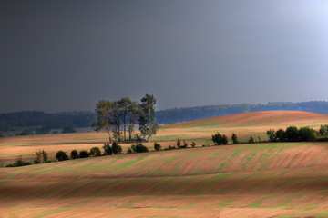 Obraz premium Piękno Warmińskich Pół