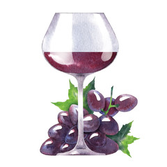 Vector watercolor sketch of wine and grapes.