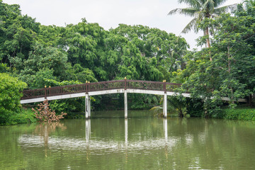 Fototapeta na wymiar bride on lake in Bangkrachao park Thailand