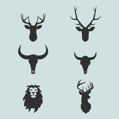Heads of animals: deer, lion, buffalo in vector