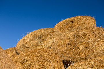 Piled hay bales on a field against blue sky