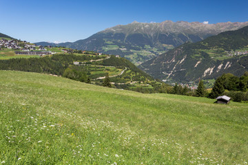 Fototapeta premium Alpage, herbe et vallée