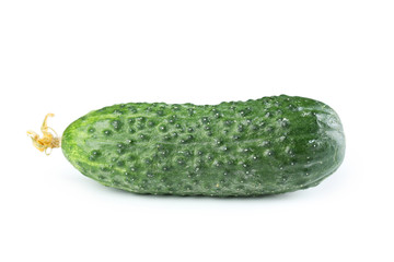 Fresh cucumber isolated on white