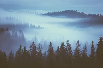 Papier Peint photo Forêt dans le brouillard Brouillard sur les pentes des montagnes
