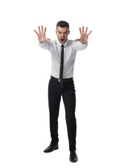 Businessman isolated portrait