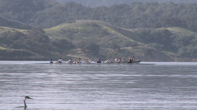 Panning an eight person rowing sweep being followed by their coach on Lake Casitas in Oak View, California.
