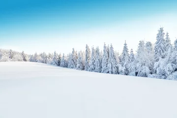 Deurstickers Winter Winter besneeuwd landschap
