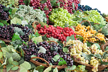 Colorful display of assorted varieties of grapes