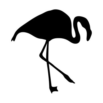 flamingo silhouette on a white background