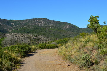 Collines d'Esterel
