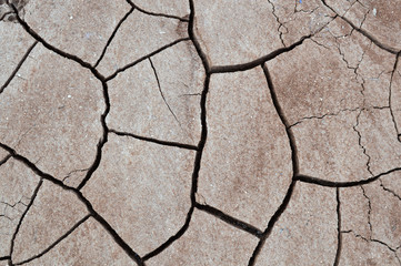 Cracks in the ground due to drought

