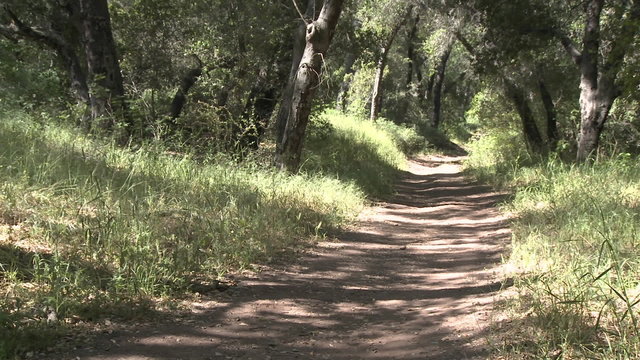 Man trail running in the forest on the Ventura River Preserve in Ojai, California.