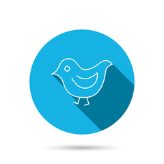 Bird icon. Chick with beak sign.