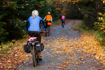 Mountain biker in autumn forest