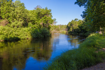 green trees and blue river in summer day