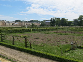 Fototapeta premium Ile de France - Yvelines - Versailles - Potager du roi