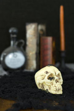 halloween skull with spell books and witch's brew