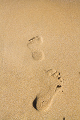 Footprints in the sand beach near the sea