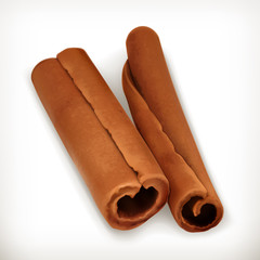 Cinnamon, vector icon