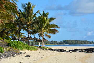 Fototapeta na wymiar Mauritius, Belle Mare, Ostküste