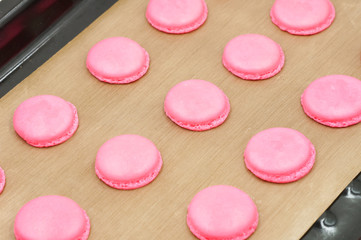 Cooking French Macarons