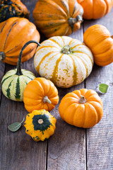 Pumpkins and variety of squash