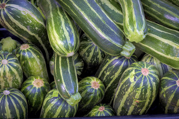 Farm fresh Zucchini at a local farmers market