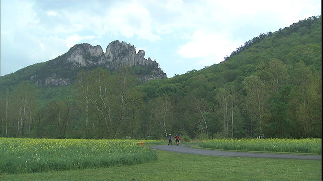 Seneca Rocks Meadow & Climbing face