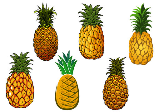 Tropical ripe yellow pineapple fruits