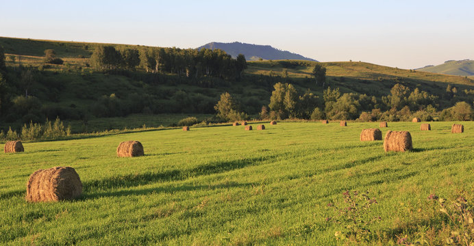 Beautiful haystacks on green lawn in the mountains.