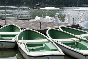 Swan Boats and Rowboats in Lumpini Park, Bangkok, Thailand