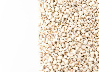job's-tears of millet on white background