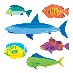 Tropical fish water animal vector cartoon
