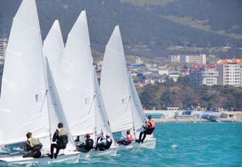 Fototapeta premium sailing regatta