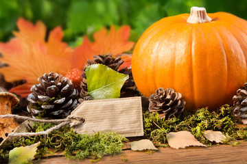 Dekoration im Herbst