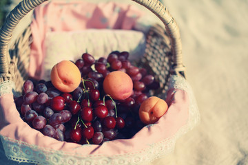 Basket of fruits, the harvest of grapes, cherries and apricots,