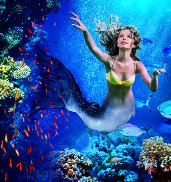 Mermaid dive underwater through coral .