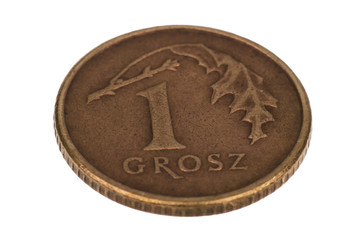 Polish national coin 1 grosz isolated.