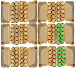 Two green and ten brovn carton packages eggs isolated on white