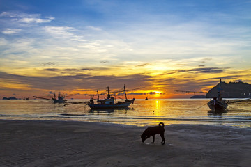 The dog boat and sunrise