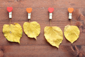 yellow leaves on wooden background