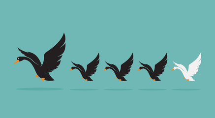 Vector image of a herd of swan on blue background, Difference co