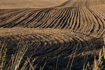 Fototapeta premium ploughed field with dark earth and curved tracks